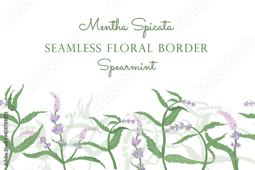 Seamless Border Made with Hand Drawn Spearmint