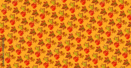 Autumn pattern for design. Autumn leaf different colors.