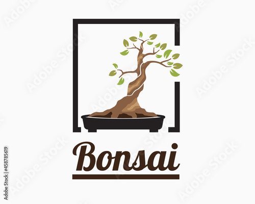 oriental bonsai logo design. Japanese mini small plant tree on pot. bonsai tree illustration vector