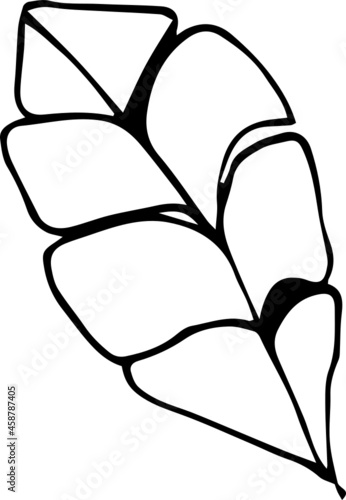 Set of isolated summer herbs on white. Vector. EPS 10. Black and white, elements for floral season design. Hand drawn.