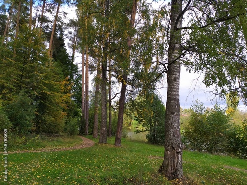 Fototapeta Naklejka Na Ścianę i Meble -  Bright colorful autumn day in forest 