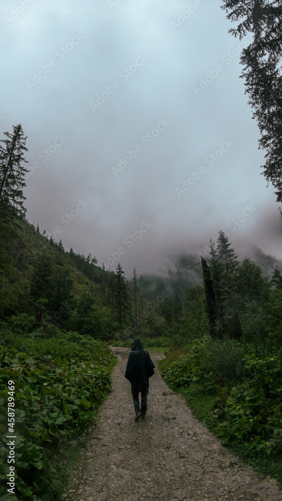 Fototapeta premium hiking in the mountains