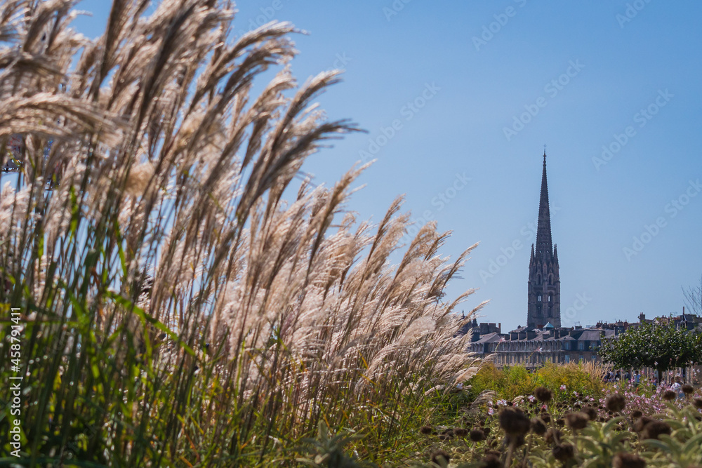 Cityscape of Bordeaux (France)