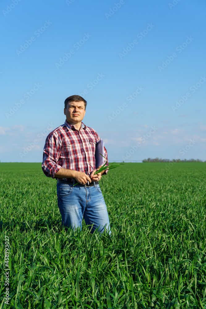 a man as a farmer poses in a field, dressed in a plaid shirt and jeans, checks reports and inspects young sprouts crops of wheat, barley or rye, or other cereals, a concept of agriculture and agronomy a man as a farmer poses in a field, dressed in a plaid shirt and jeans, checks reports and inspects young sprouts crops of wheat, barley or rye, or other cereals, a concept of agriculture and agronomy