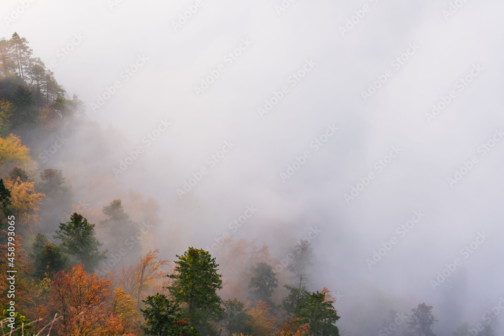 Golden autumn in the mountains with morning mists and yellow-red leaves on the trees Golden autumn in the mountains with morning mists and yellow-red leaves on the trees