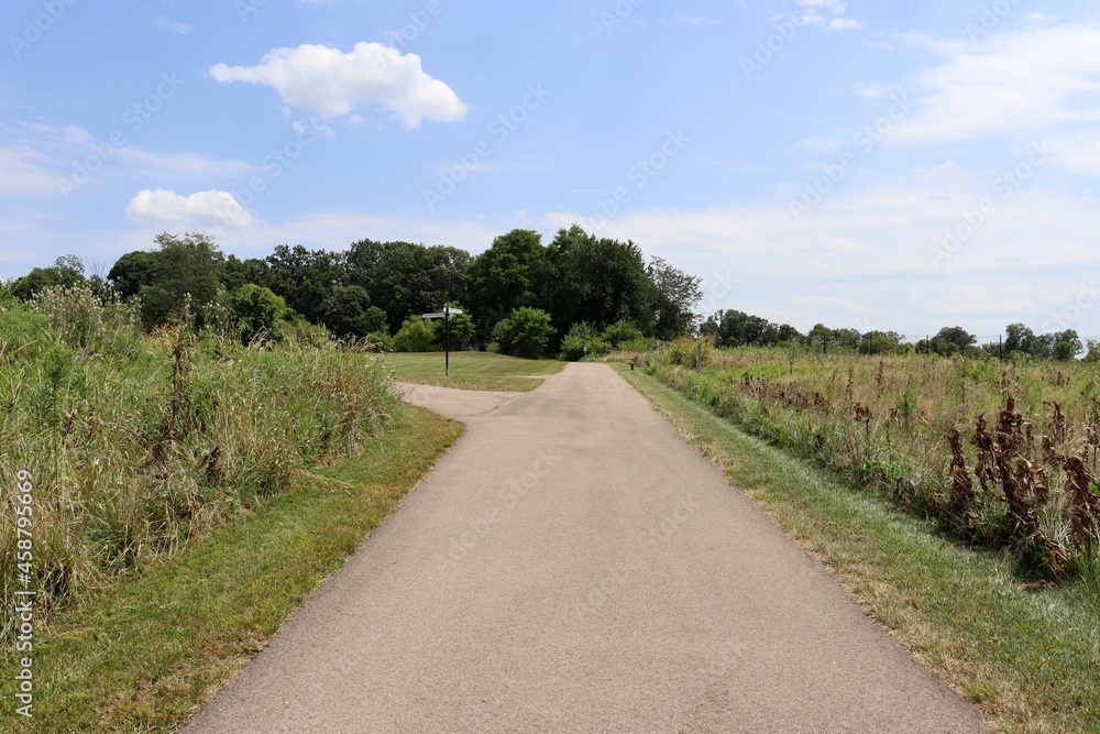 The long straight pathway in the park on a sunny day.