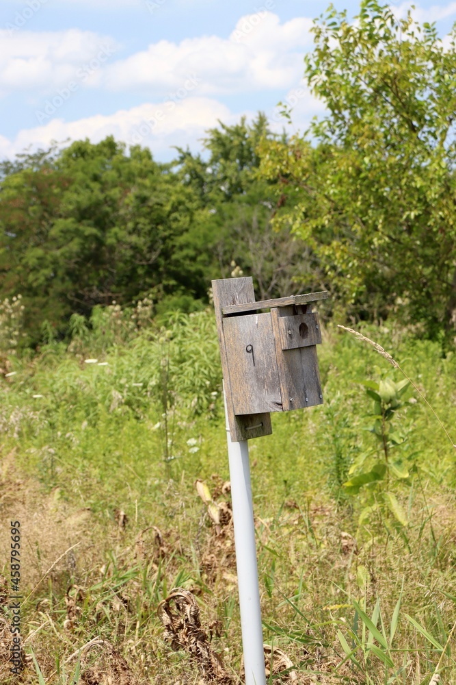 The old wood box birdhouse in the field.