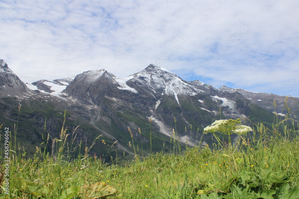 Alpenpanorama, Berge und Wiese mit Himmel