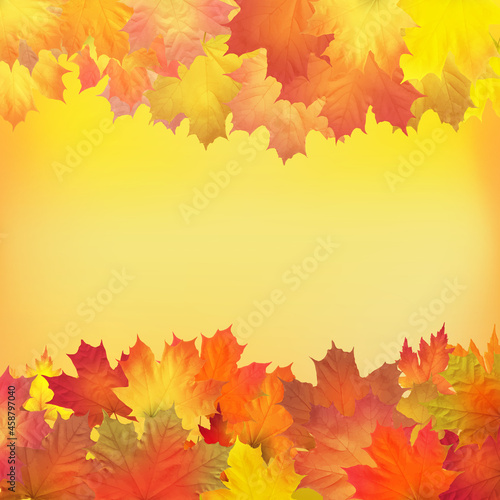 Red, orange, brown and yellow autumn leaves. Vector