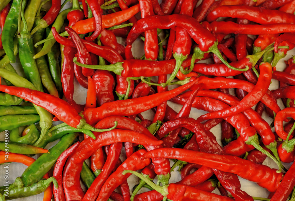 Background with bitter pepper. Colorful pods of bitter pepper. Chili pepper. Agricultural background with vegetables. Harvesting. Sale of vegetables. Agricultural business.