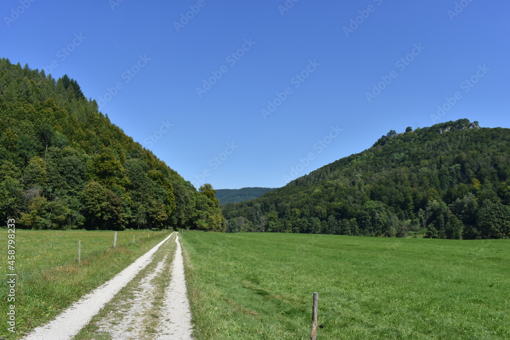 Fototapeta premium mountain road in the mountains