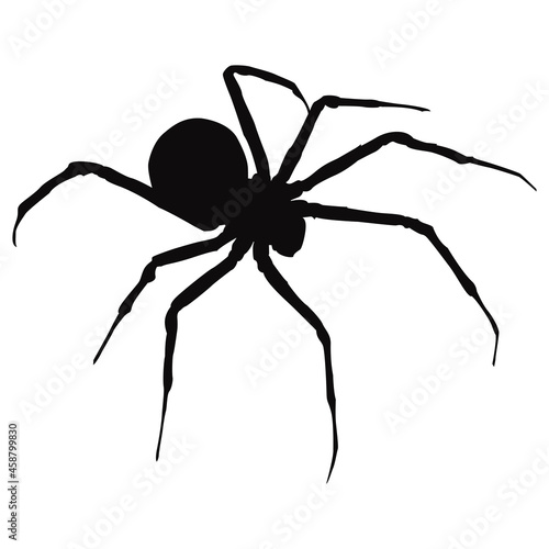 Vector and isolated spider. Black silhouette of spider on Halloween.