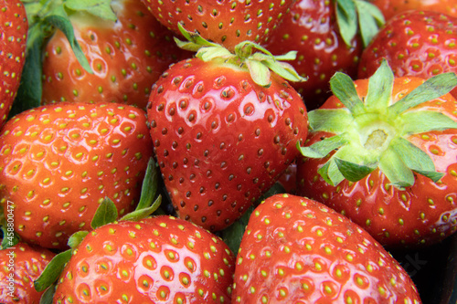 Strawberry background in macro closeup on many berries.