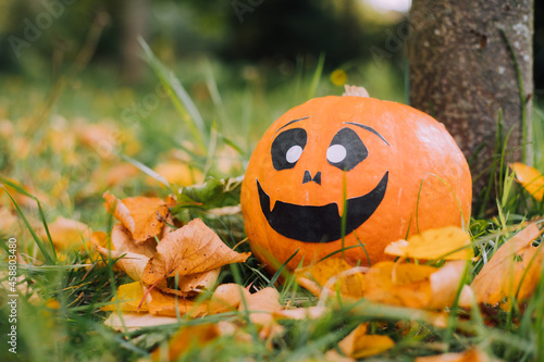 Jackie's Halloween pumpkin is lying on the grass . An article about Halloween. An orange pumpkin with a face. Halloween