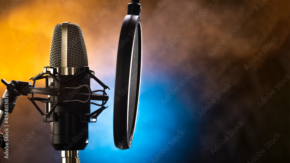Professional studio microphone and pop filter on a beautiful