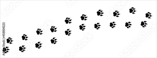 Leopard paw print trail. Dog, cat paws foot print trace. background vector illustration.