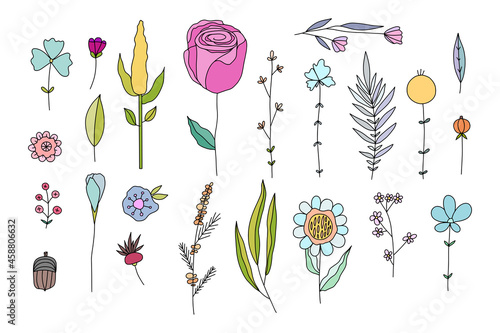 Set of hand drawn doodle flowers and plants.