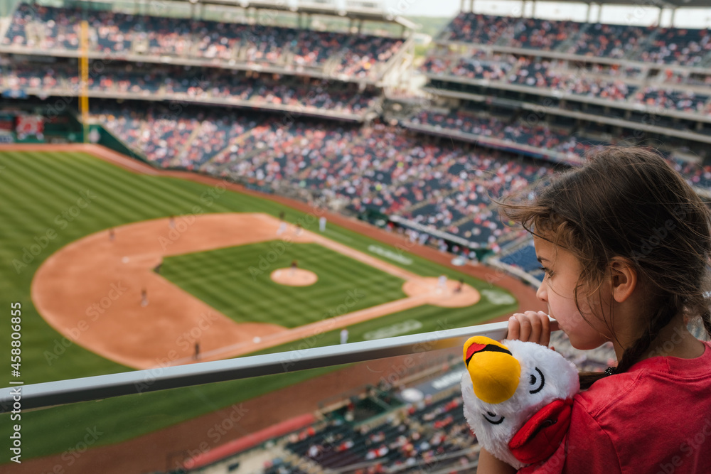 little girl watching baseball game from the stands Stock Photo Adobe