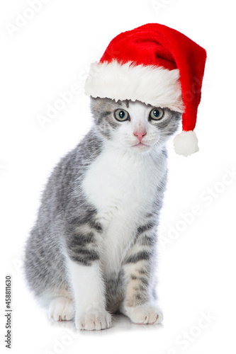 Cute tabby kitten with santa hat isolated on white