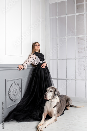 a girl in a black dress stands near the grate a big dog lies at his feet photo