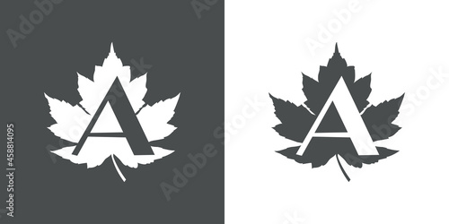 Logotipo letra inicial A en hoja de arce en fondo gris y fondo blanco
