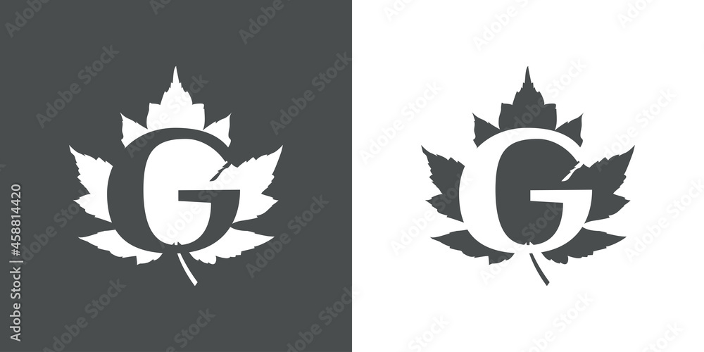 Logotipo letra inicial G en hoja de arce en fondo gris y fondo blanco