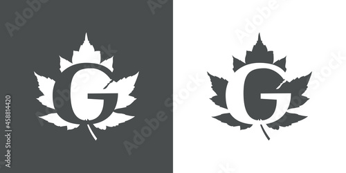 Logotipo letra inicial G en hoja de arce en fondo gris y fondo blanco