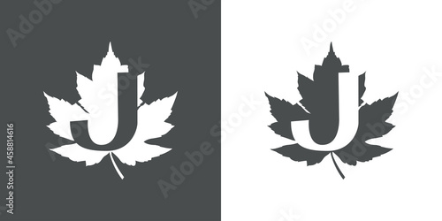 Logotipo letra inicial J en hoja de arce en fondo gris y fondo blanco