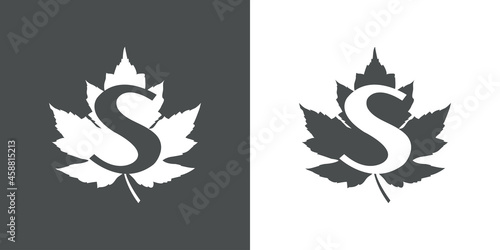 Logotipo letra inicial S en hoja de arce en fondo gris y fondo blanco