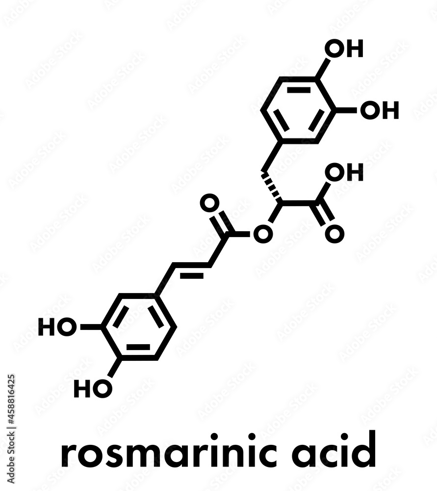 rosmarinic acid herbal antioxidant molecule. Present in a number of ...