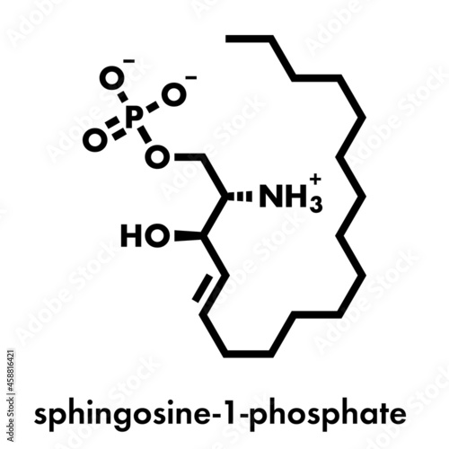 Sphingosine-1-phosphate (S1P) signaling molecule. Skeletal formula. photo