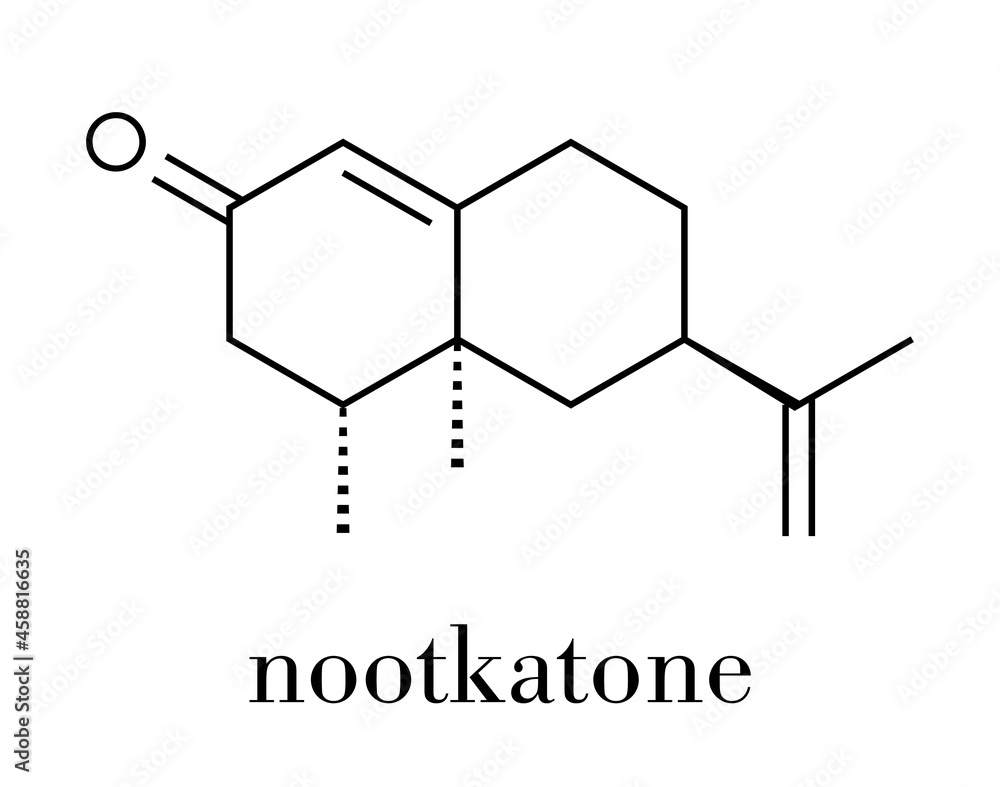 Nootkatone natural insect repellent molecule. Present in grapefruit. Skeletal formula. Nootkatone natural insect repellent molecule. Present in grapefruit. Skeletal formula.