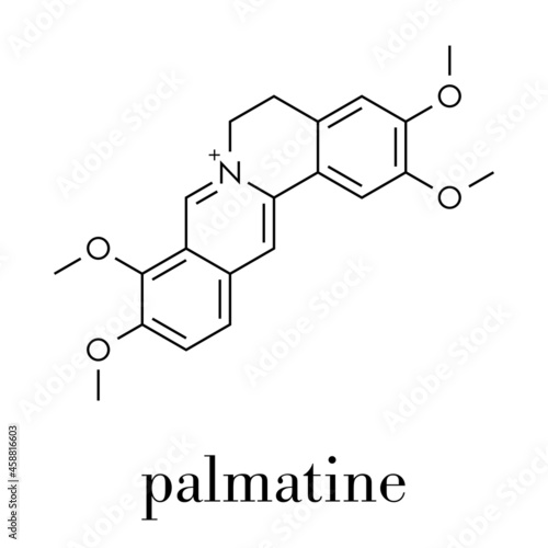 Palmatine herbal alkaloid molecule. Skeletal formula. photo