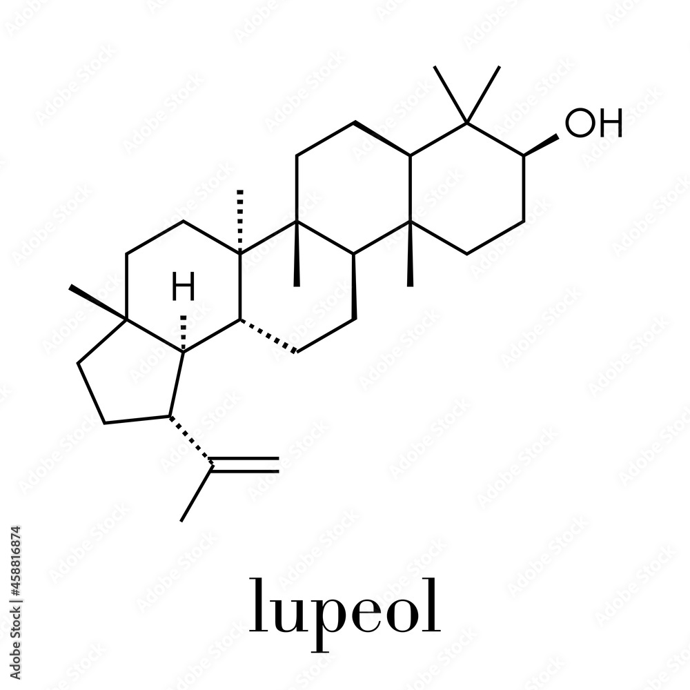 Lupeol herbal triterpenoid molecule. Skeletal formula. Lupeol herbal triterpenoid molecule. Skeletal formula.
