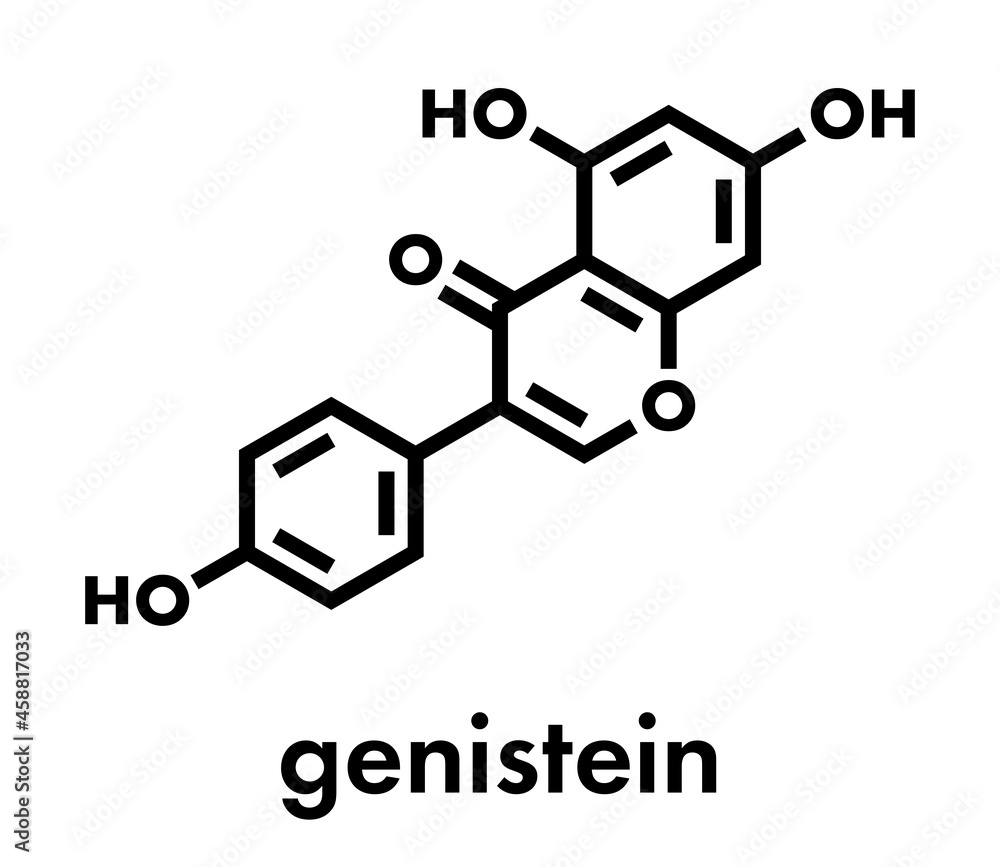 Genistein isoflavone molecule. Skeletal formula. Genistein isoflavone molecule. Skeletal formula.