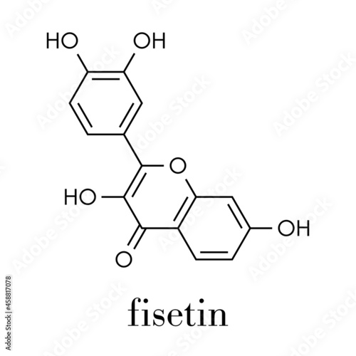 Fisetin plant polyphenol molecule. Skeletal formula.