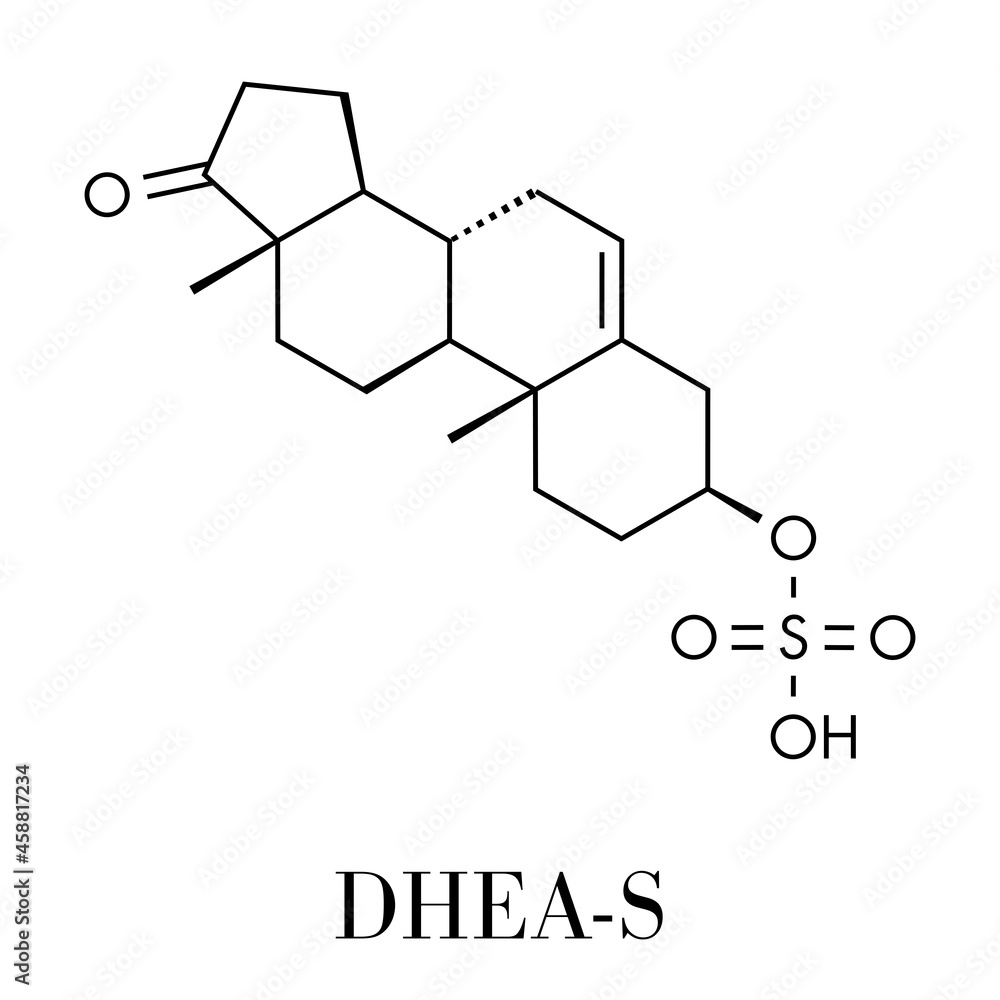 Fototapeta premium Dehydroepiandrosterone sulfate (DHEA-S) natural hormone molecule. Skeletal formula.