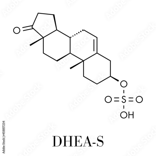 Dehydroepiandrosterone sulfate (DHEA-S) natural hormone molecule. Skeletal formula.