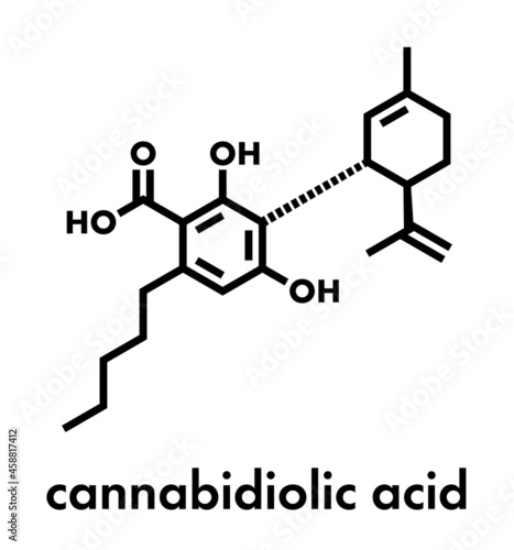 Cannabidiolic acid or CBDA cannabinoid molecule. Skeletal formula.