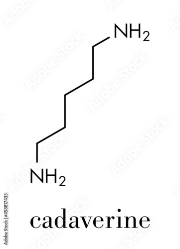 Cadaverine foul smelling molecule. Skeletal formula.