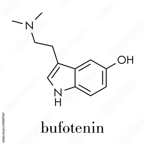 Bufotenin molecule. Tryptamine present in several psychedelic toads. Skeletal formula. photo