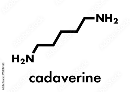 Cadaverine foul smelling molecule. Skeletal formula.