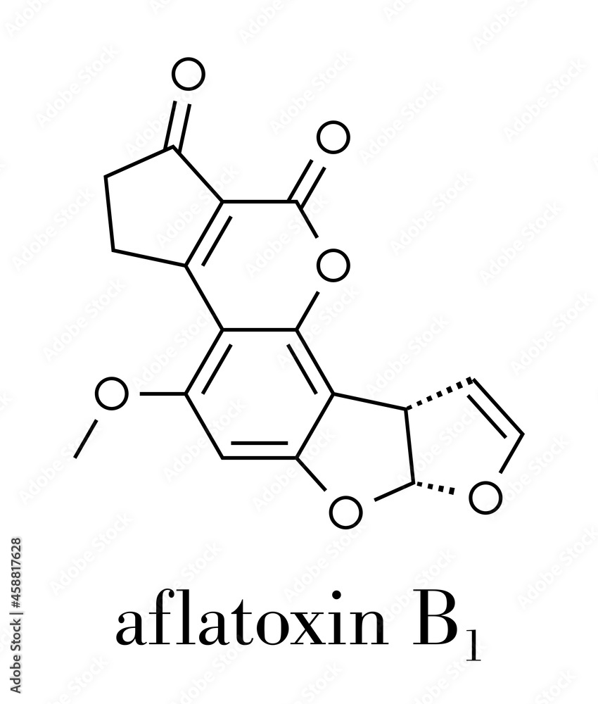 Aflatoxin B1 mold carcinogenic molecule. Skeletal formula. Aflatoxin B1 mold carcinogenic molecule. Skeletal formula.