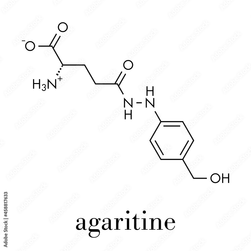 Agaritine mushroom toxin molecule. Skeletal formula. Agaritine mushroom toxin molecule. Skeletal formula.