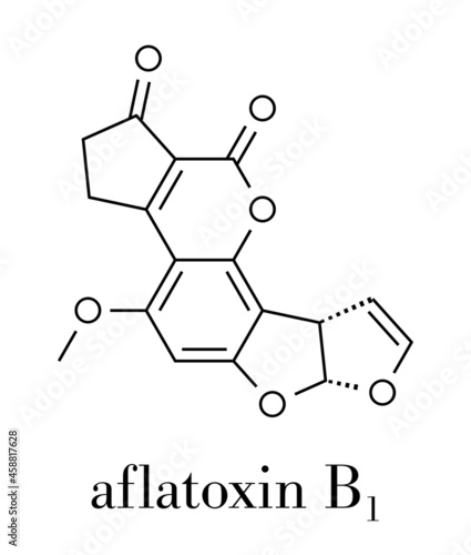 Aflatoxin B1 mold carcinogenic molecule. Skeletal formula.