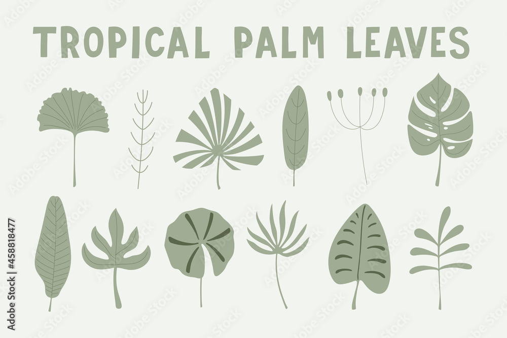 Poster set delicate green leaves of tropical palm trees. Vector hand drawn illustration. Creative flat for kids texture, baby clothes, fabric, wrapping, textile, wallpaper, apparel, design, interior.