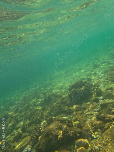 Fondale marino di Giardini Naxos 393 © bellux