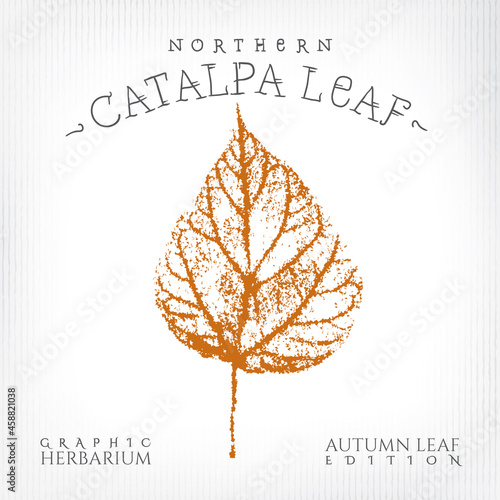 Northern Catalpa Leaf with Authentic Logo Lettering Vintage Print Style Illustration from Autumn Leaf Edition of Graphic Herbarium - Black and Rusty on Grunge Background - Stamp Graphic Design