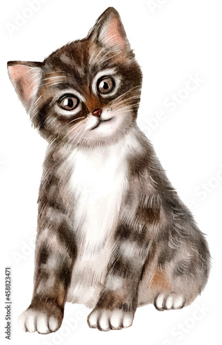 Photography Watercolor illustration with cute cat isolated on white background