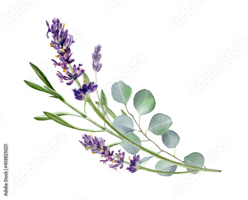 Lavender flowers and eucalyptus branches isolated on white. Floral wreath. Watercolor illustration for card  invitation  stationary  blog design